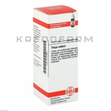 Туя Екстерн ● Thuja Extern