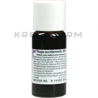 Туя Окциденталіс ● Thuja Occidentalis