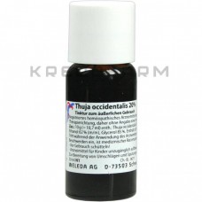 Туя Окциденталіс ● Thuja Occidentalis