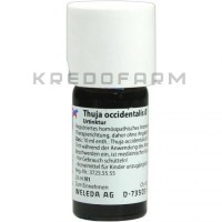 Туя Окциденталіс ● Thuja Occidentalis