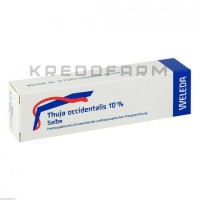 Туя Окциденталіс ● Thuja Occidentalis