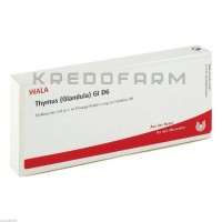 Тимус Гландула ● Thymus Glandula