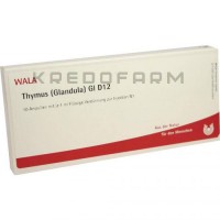Тимус Гландула ● Thymus Glandula