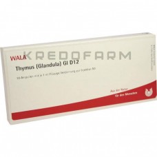 Тимус Гландула ● Thymus Glandula