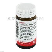 Тиреоидеа ● Thyreoidea