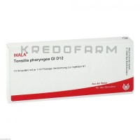 Тонзилла Фарінгеа ● Tonsilla Pharyngea