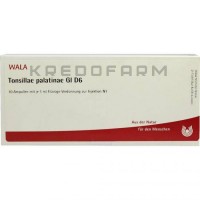 Тонзилла ● Tonsillae