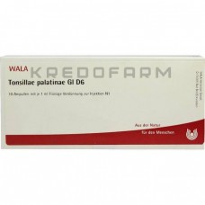 Тонзилла ● Tonsillae