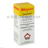 Траумісал ● Traumisal