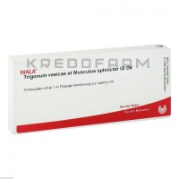 Тригонум ● Trigonum