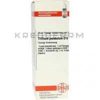 Триллиум Пендулум ● Trillium Pendulum