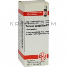 Триліум Пендулум ● Trillium Pendulum