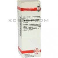 Тропеолюм Маюс ● Tropaeolum Majus