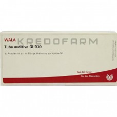 Туба Аудитива ● Tuba Auditiva