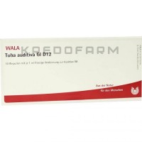 Туба Аудитива ● Tuba Auditiva