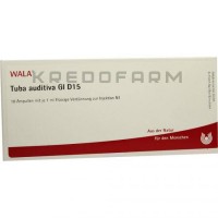 Туба Аудитива ● Tuba Auditiva