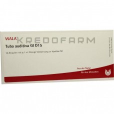 Туба Аудитива ● Tuba Auditiva