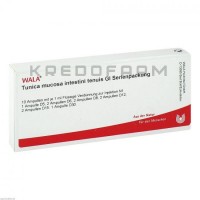 Туніка ● Tunica