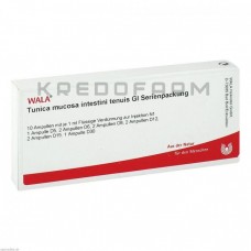 Туніка ● Tunica