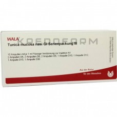 Туніка ● Tunica