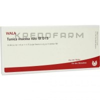 Туніка ● Tunica