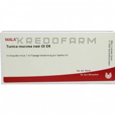 Туніка ● Tunica