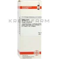 Уртика ● Urtica