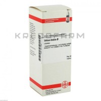 Уртика Диоика ● Urtica Dioica