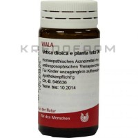 Уртика Диоика ● Urtica Dioica