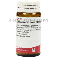 Уртика Уренс ● Urtica Urens