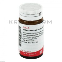 Уртика Уренс ● Urtica Urens