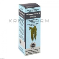 Узнебазан ● Usneabasan