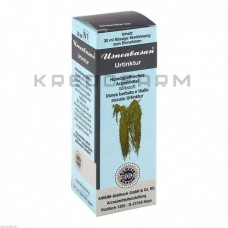 Узнебазан ● Usneabasan