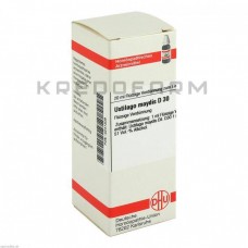 Устілаго Майдіс ● Ustilago Maydis