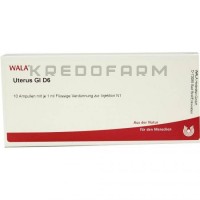 Утерус ● Uterus