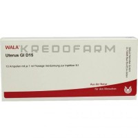 Утерус ● Uterus