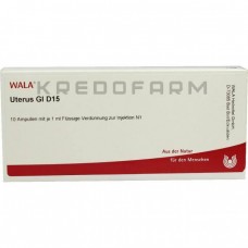 Утерус ● Uterus