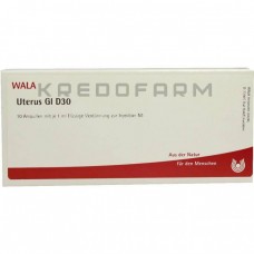 Утерус ● Uterus