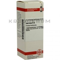 Ува Урсі ● Uva Ursi