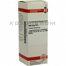 Ува Урсі ● Uva Ursi