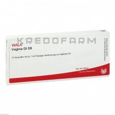 Вагіна ● Vagina