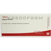 Вагіна ● Vagina