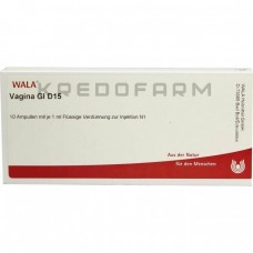 Вагіна ● Vagina