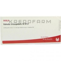 Вальвула ● Valvula