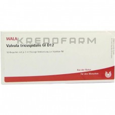 Вальвула ● Valvula