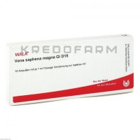 Вена Сафена ● Vena Saphena