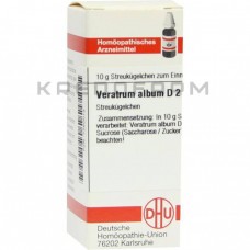 Вератрум Альбум ● Veratrum Album