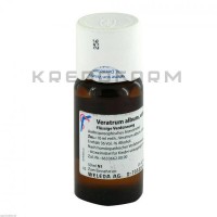 Вератрум Альбум ● Veratrum Album