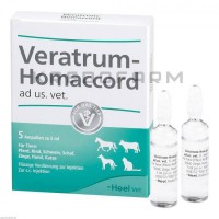 Вератрум Хомаккорд ● Veratrum Homaccord