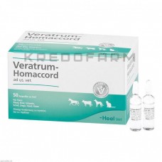Вератрум Хомаккорд ● Veratrum Homaccord